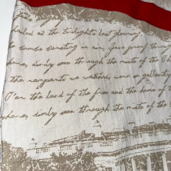 Royale Air American Flag Polo Men’s Large All Over Print T-Shirt Star Spangled - Picture 3 of 8